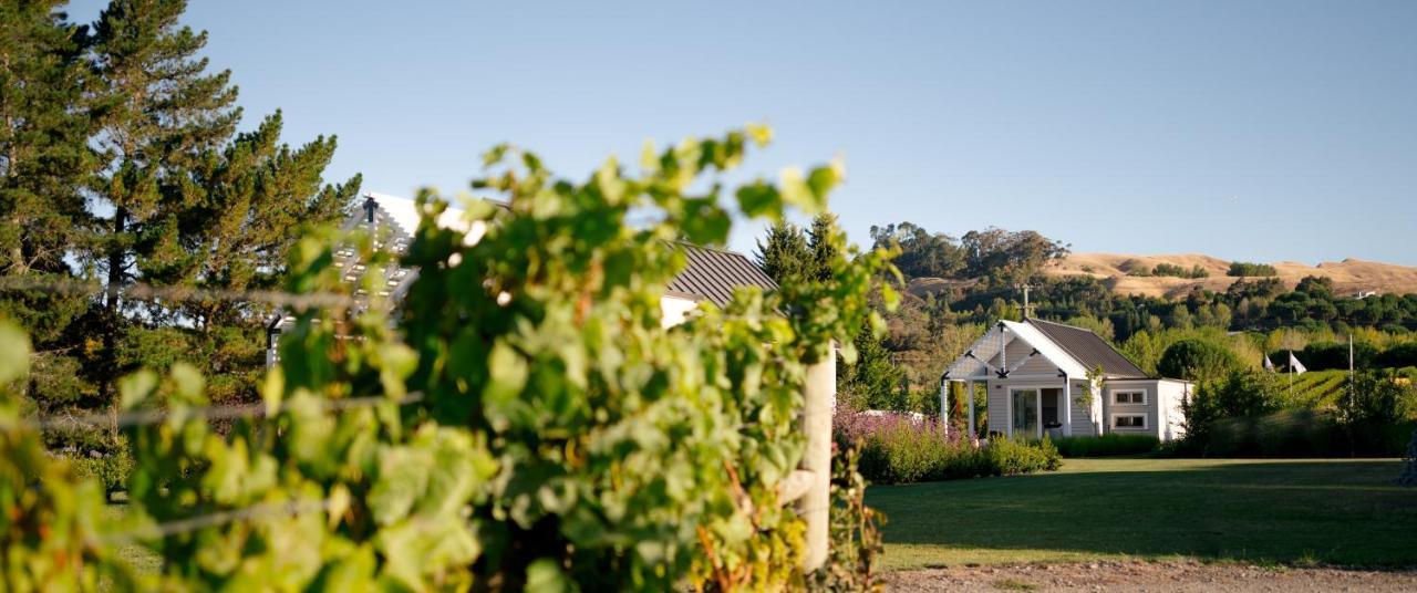 305 In The Vines Villa Havelock North Dış mekan fotoğraf