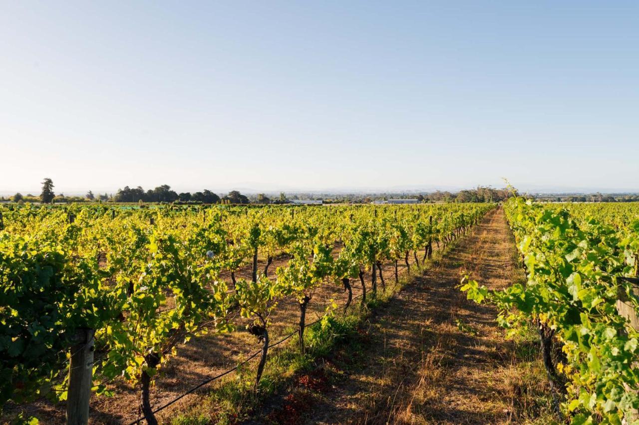 305 In The Vines Villa Havelock North Dış mekan fotoğraf