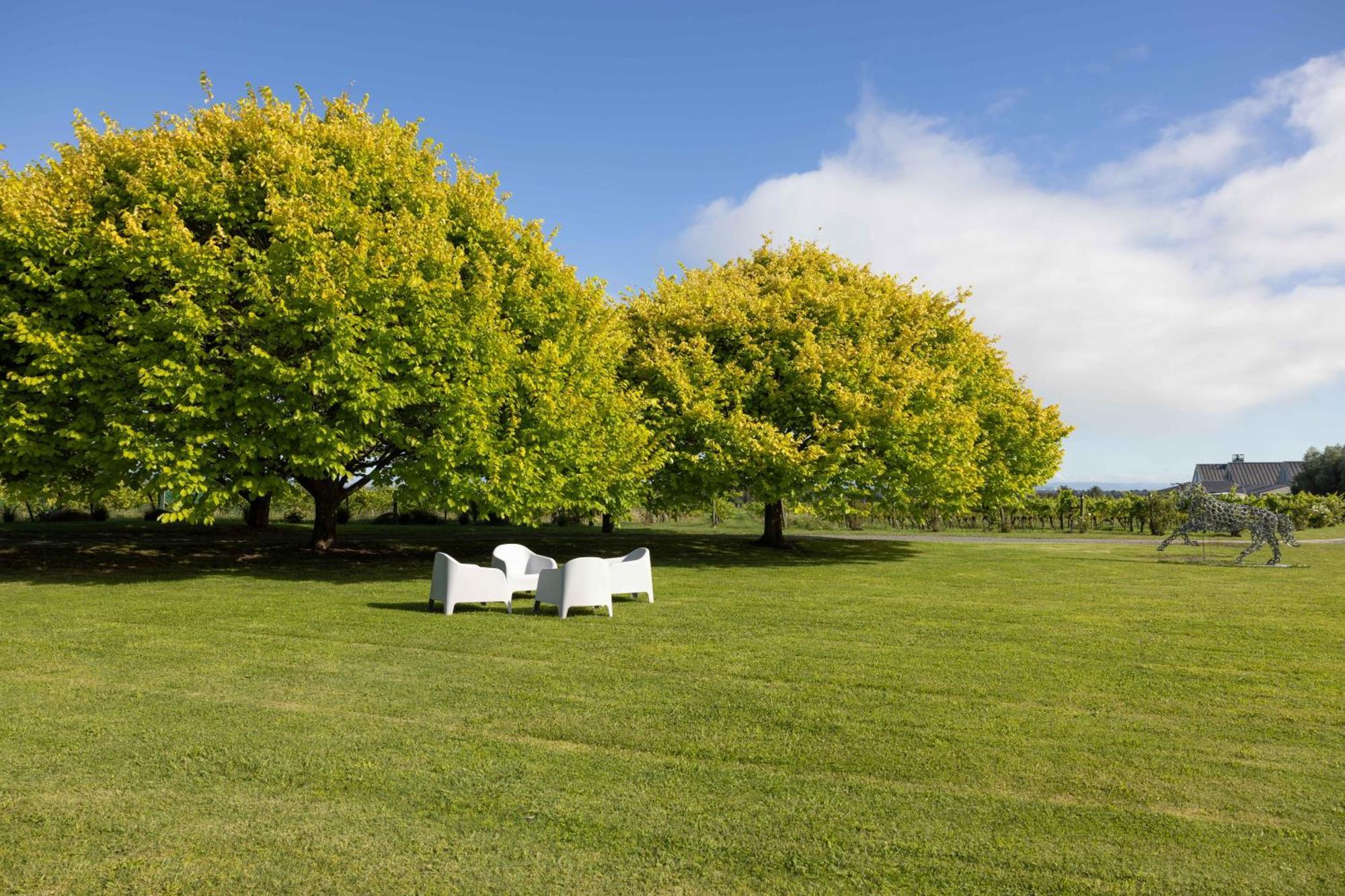305 In The Vines Villa Havelock North Dış mekan fotoğraf